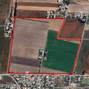 WhatsApp Image 2026-03-11 at 12.28.59 PM (1)