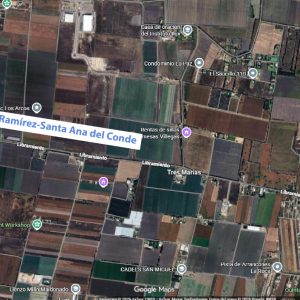 WhatsApp Image 2026-03-11 at 12.28.59 PM